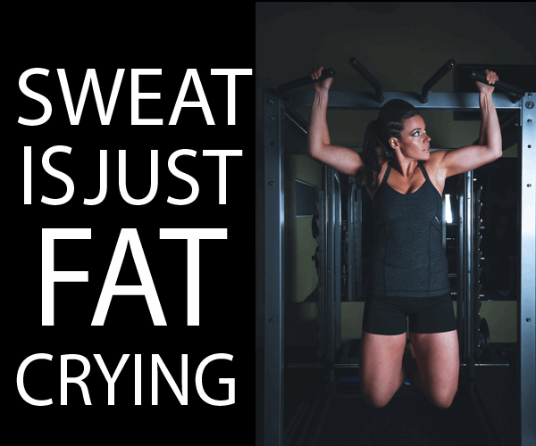 Fit in 15 - Click Link in Description